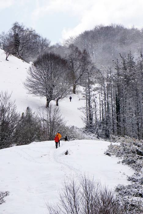 Espero gabeko elurtea