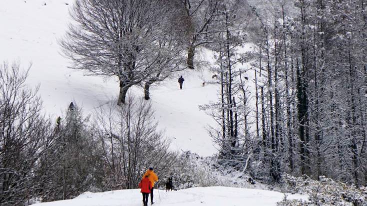 Espero gabeko elurtea