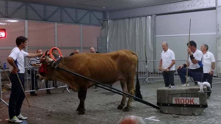 Azkoitiko Isidro Erretegiak irabazi zuen Uztarri Motzeko Trinitateetako I. Saria