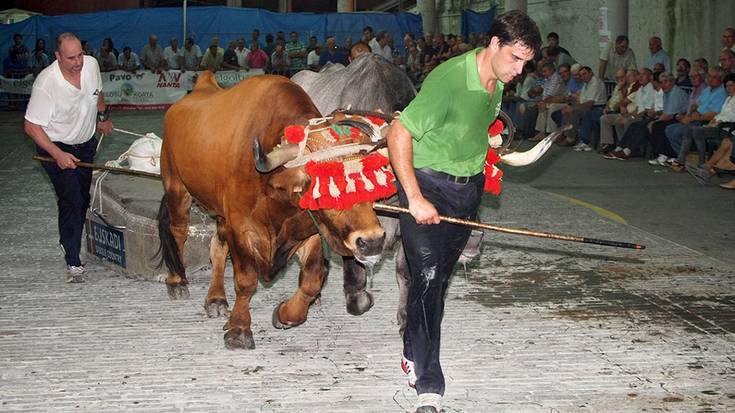 Kintopekoen idi-demak jokatuko dituzte Sigmako probalekuan hiru jardunalditan