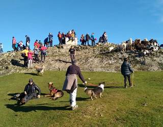 Kalamuara ibilaldi solidarioa antolatu du animaliak babesteko Marcan Huella elkarteak