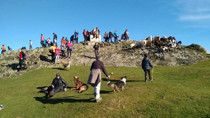 Kalamuara ibilaldi solidarioa antolatu du animaliak babesteko Marcan Huella elkarteak