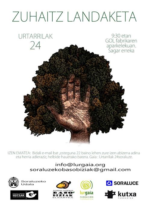 Landaketa (Baso Biziak)