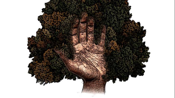 Landaketa (Baso Biziak)