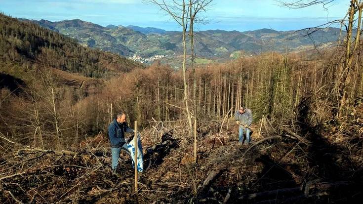 Bertoko zuhaitz espezieak landatzeko bi lursail erosi ditu Elgoibarko Baso Biziak elkarteak