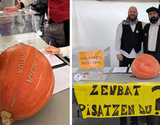 Berdinketa kalabazaren posturan