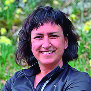 Erabiltzailearen aurpegia