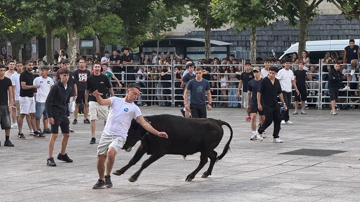 Zezenak Eibarko Untzaga plazan