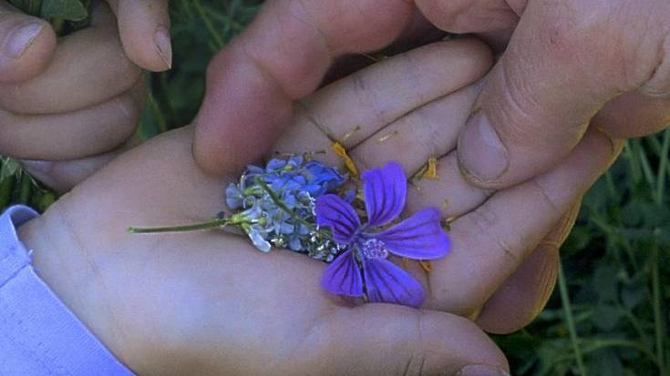 Ongarri zinekluba: 'Historias del buen valle'