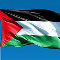 Palestinaren aldeko elkarretaratzea