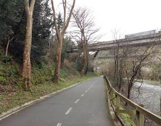 Bidegorria moztu egingo dute bihar