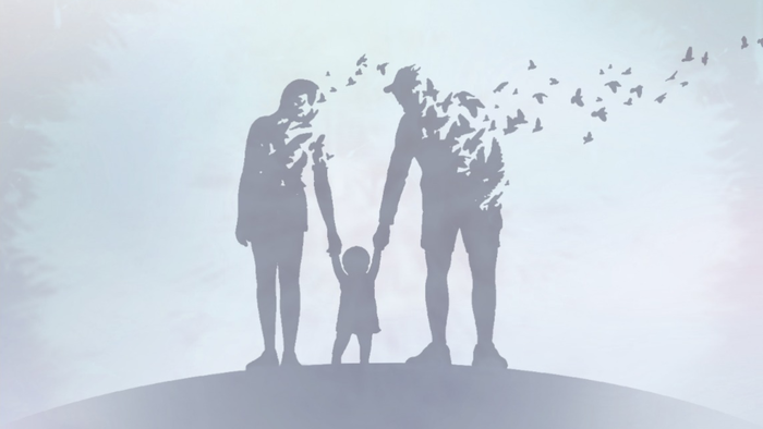 Gaiaren alderdi egokia