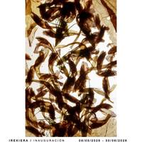 Erakusketa: Jone Telleria "Airean"