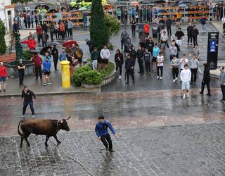 Trinitateetako sokamuturra Maalan eta plaza aldean egingo dute