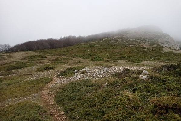 Mendi irteera bateratua: Ioar