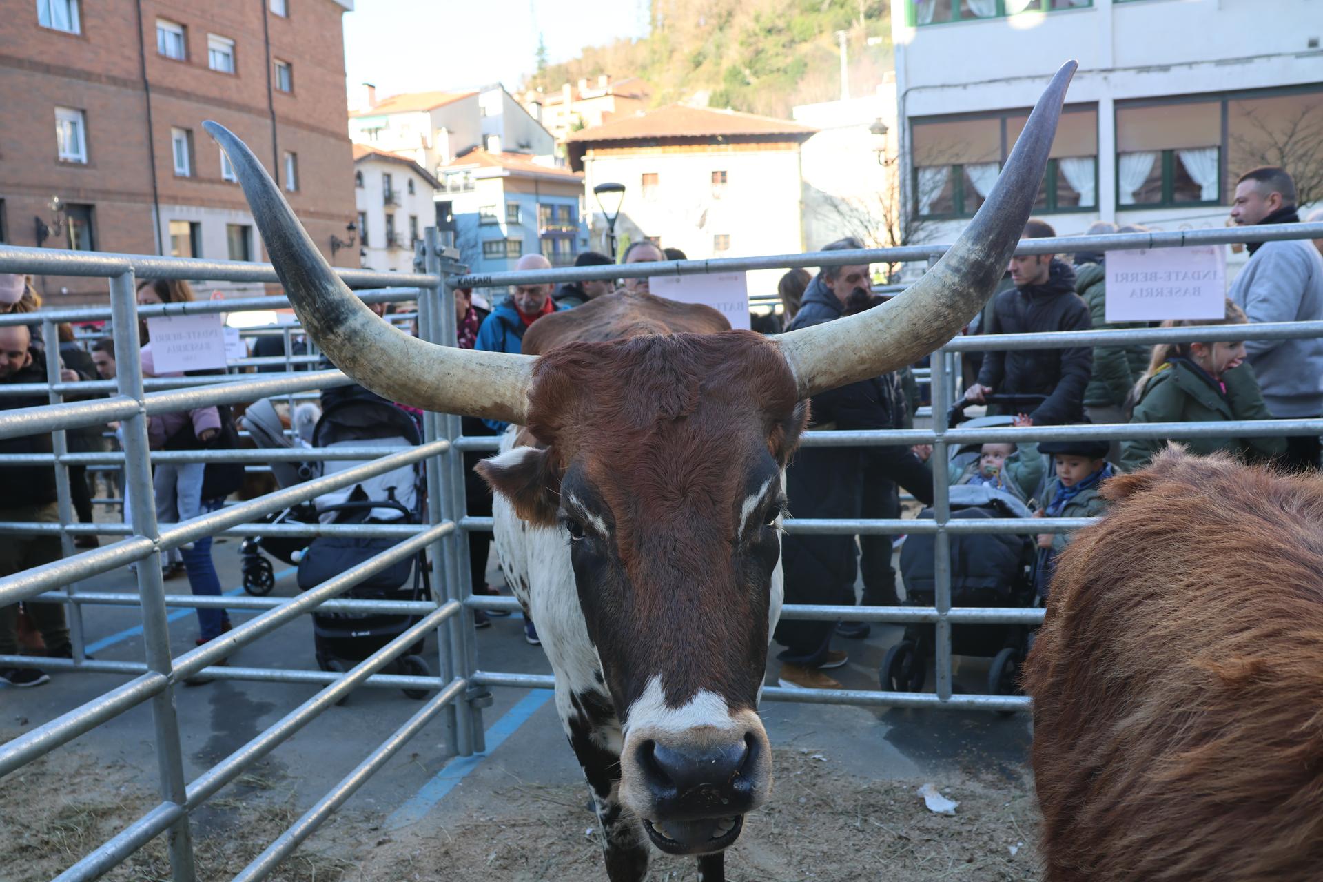 Animaliarik gabe egingo dituzte Gabon Zahar eta Zoro Feri azokak