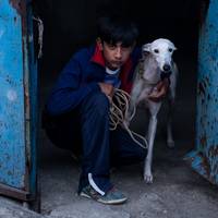 Zinema: 'Ciudad sin sueño'