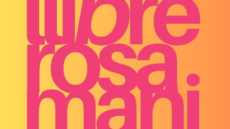 Llibre, rosa i mani