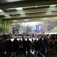 Inauteriak, Herri Eskolan