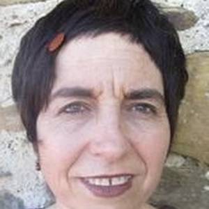 Erabiltzailearen aurpegia