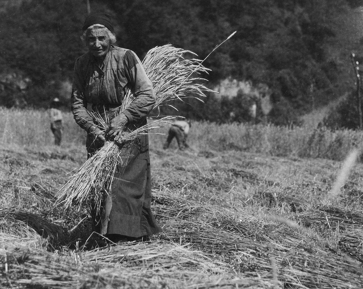 Gosetean kaletarrak baserrietara tripa-alde lanera