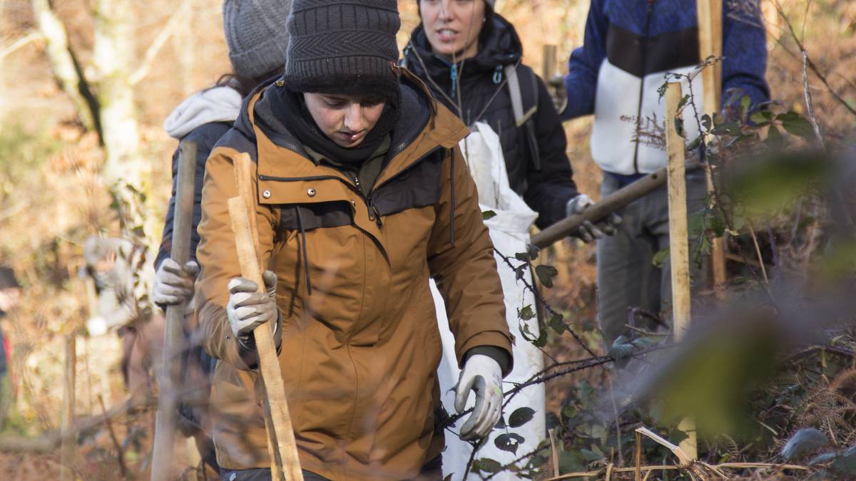 Naturzaleen laguntza behar dugu azaroaren 23an Erlai aldean zuhaitzak landatzeko