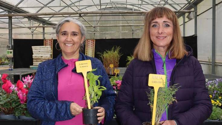 Sendabelarren gaineko ikastaroa bihar hasiko da, arrakasta handiz