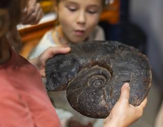 Geoparkeak 'Flyscha haurrekin' bisita berria aurkeztu du