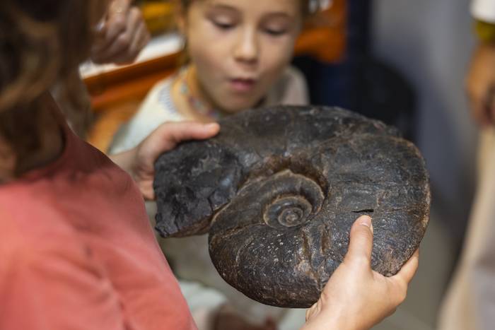 Geoparkeak flyscheko fosilak ezagutzeko tailer didaktiko berritua antolatu du haurrentzat