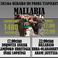 Bizkaiko Idi Proba txapelketa (FINALA)