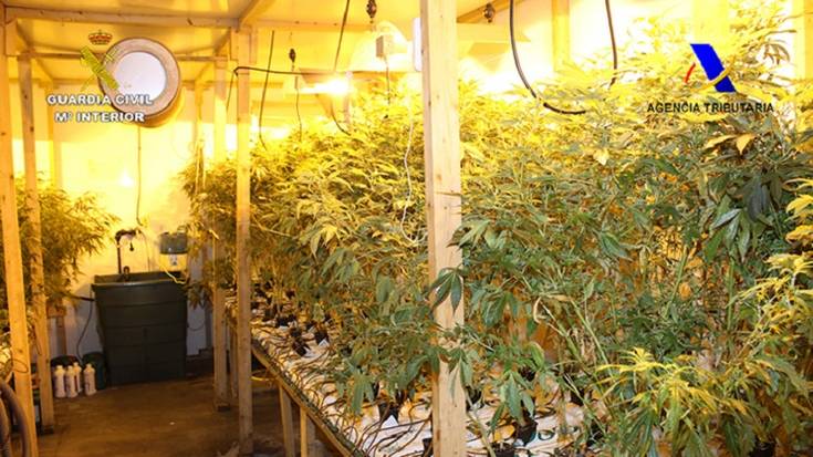 Elgoibarren atxilotu dute lagun bat Legution aurkitutako marihuana landaketarekin lotuta