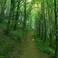 Mendi irteera: Aia-Erniotxiki-Pagoeta-Aia