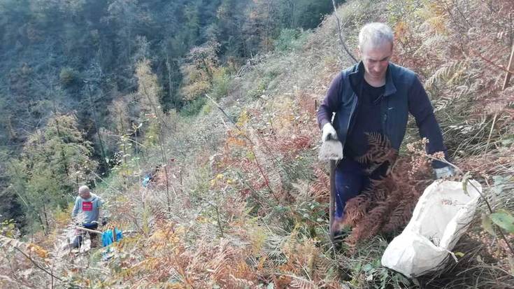 Boluntarioak behar dira otsailaren 1ean Erlaiko lursailetan zuhaitzak sartzeko