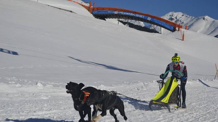 Imanol Cid txapeldunorde Espainiako Mushing Txapelketan