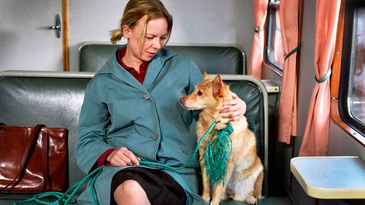 Zinema: 'Fallen leaves'