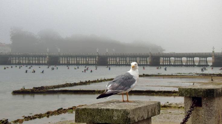 Udako Argazki Lehiaketa - Barren