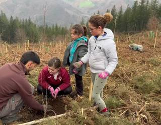 Soraluzeko Zuhaitz egunean 275 zuhaitz landatu zituzten Askabeitti inguruan