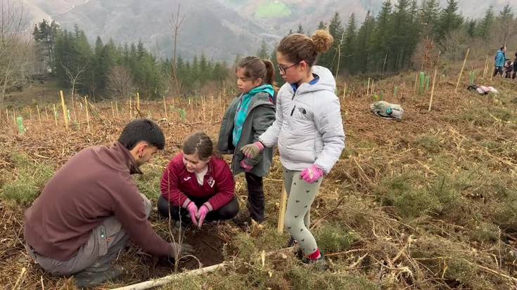 Soraluzeko Zuhaitz egunean 275 zuhaitz landatu zituzten Askabeitti inguruan