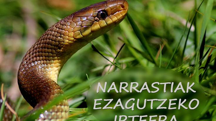 Narrastiak ezagutzeko irteera antolatu du Morkaikok maiatzaren 19rako