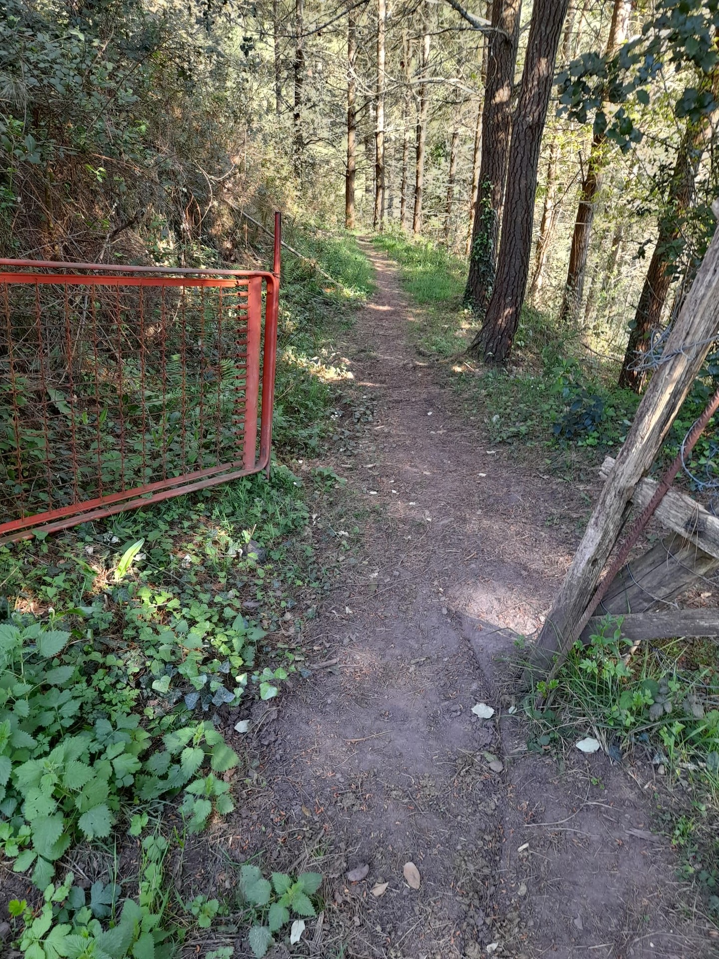 Lursail pribatuetan, errespetu gutxirekin