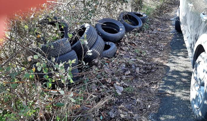 Mendirako bidean erruberen zabortegia