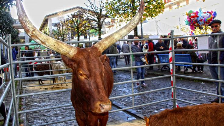 Kontzezio Eguneko azoka egingo dute zapatuan Mendaron, eta egun osoko jai-egitaraua antolatu dute