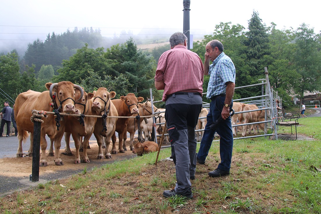 Azoka, erromeria eta herri kirolak San Andresko jaietan