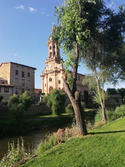 Cuzcurrita del rio Tiron (Errioxa)