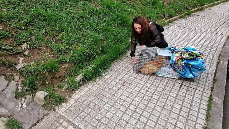 Azoka solidarioa antolatu du Katueder elkarteak zapaturako