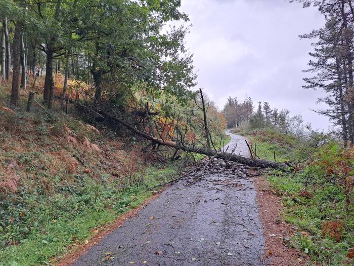 Bi errepide itxita izan dira, haizetearen eraginez