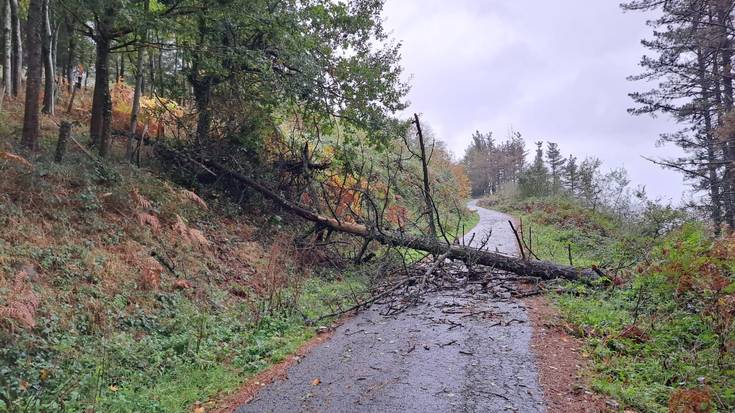 Bi errepide itxita izan dira, haizetearen eraginez