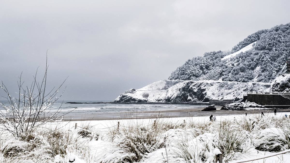 'Azkenengo elurtea hondartzan' (Nerea Allika)