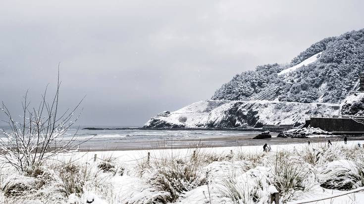 'Azkenengo elurtea hondartzan' (Nerea Allika)