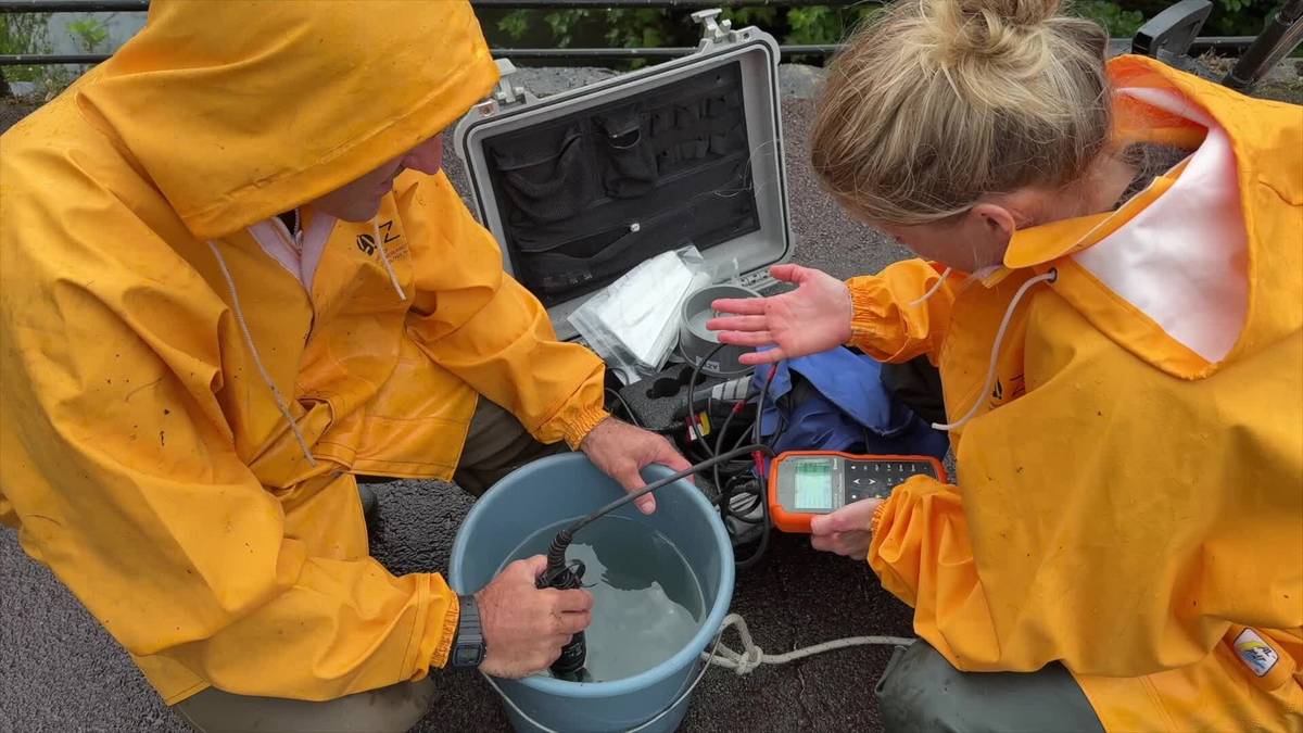 Plastiko kopurua neurtzen dihardute Deba ibaian
